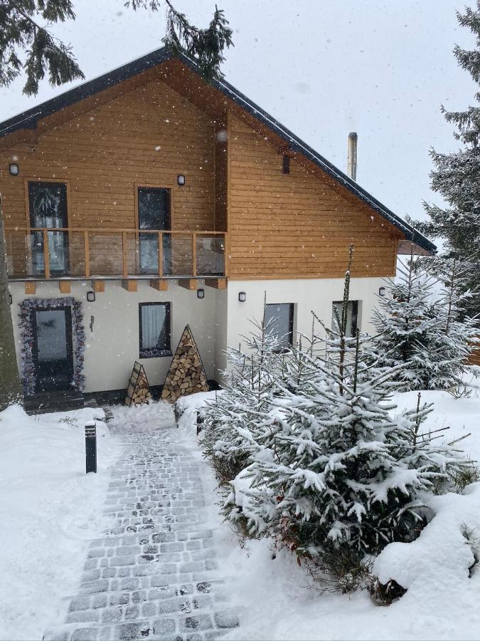 Gogodz Chalet Resort Yablunytsya Exterior photo