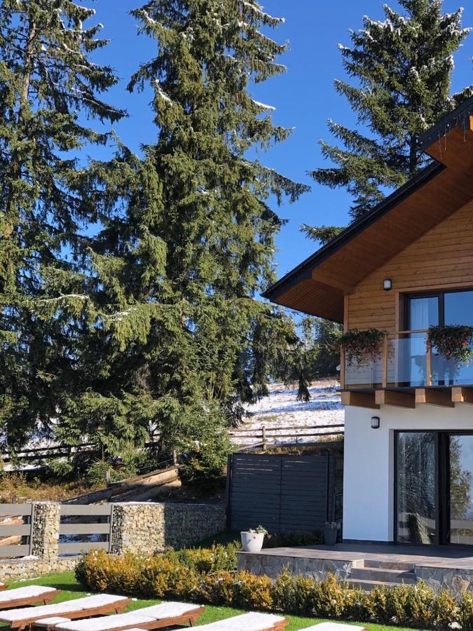 Gogodz Chalet Resort Yablunytsya Exterior photo