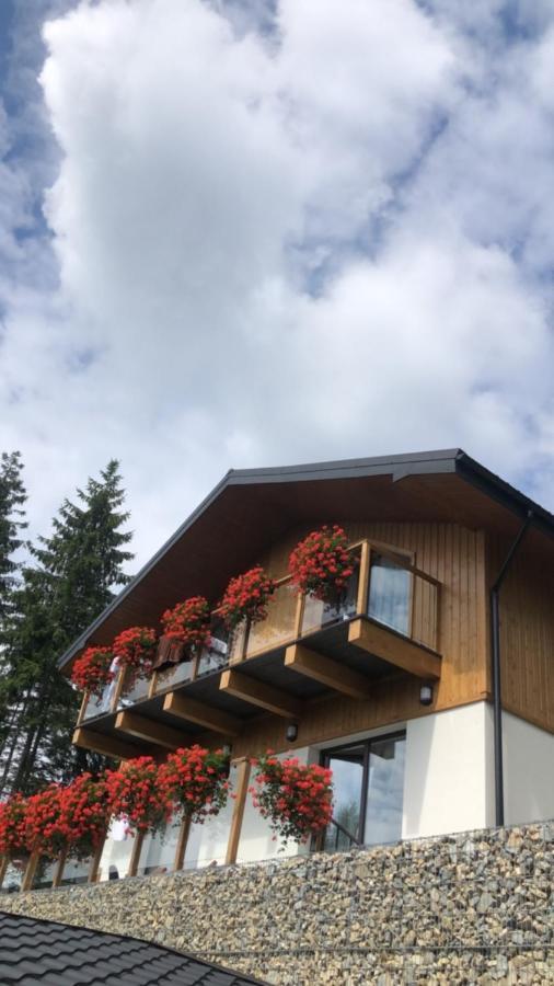 Gogodz Chalet Resort Yablunytsya Exterior photo