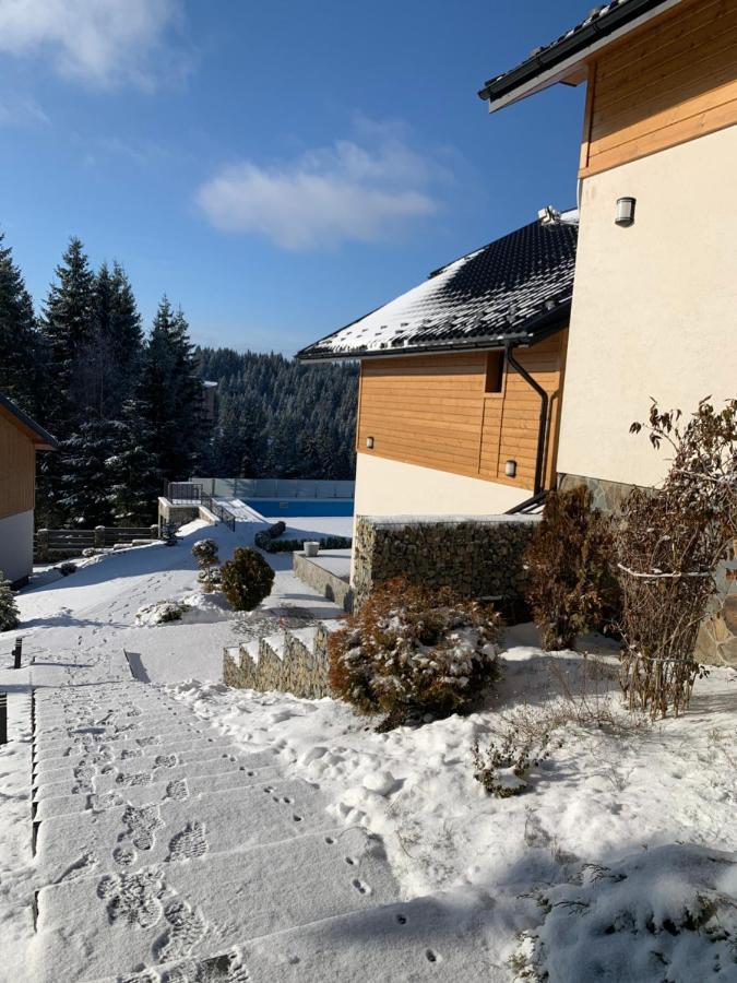 Gogodz Chalet Resort Yablunytsya Exterior photo